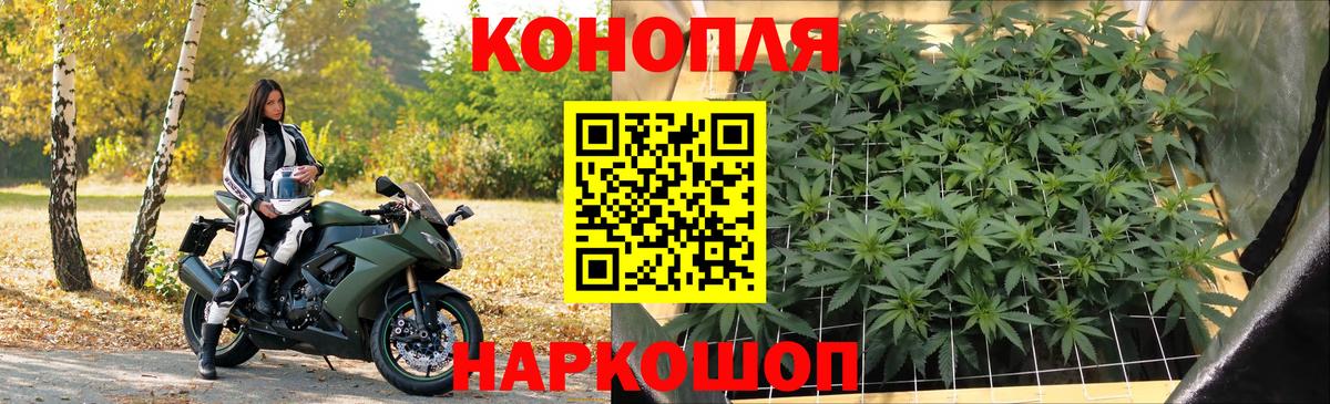 Канабис семена Волжск